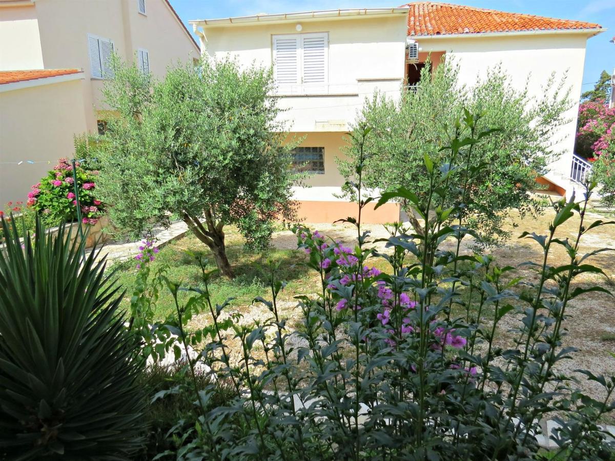 Apartments Edo Novalja Εξωτερικό φωτογραφία
